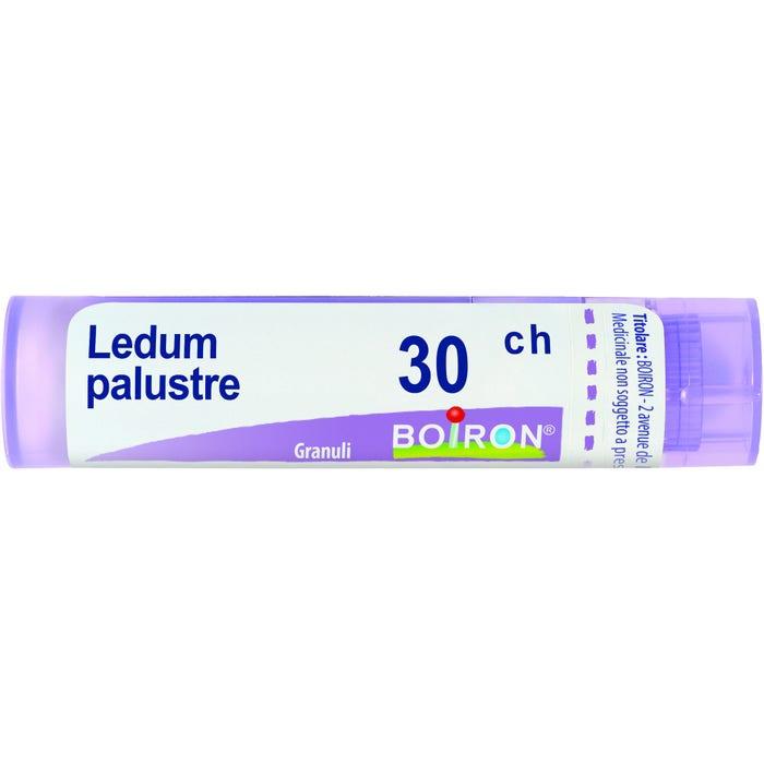 Boiron Ledum Palustre 30CH Granuli Tubo