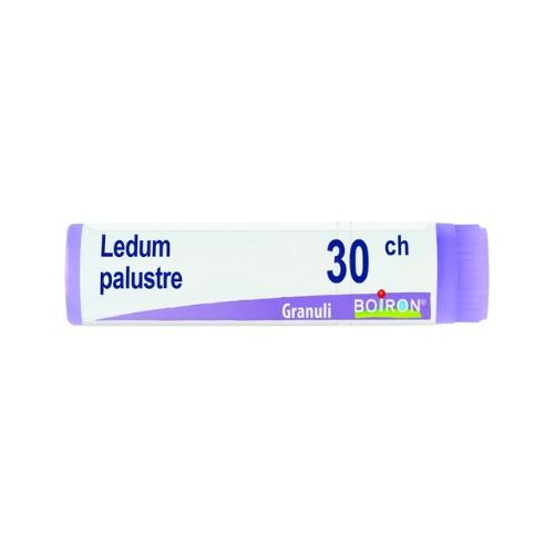 BoironLedum Palustre 30CH Globuli Tubo