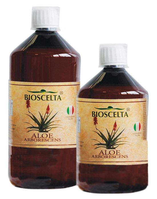 Aloe Arborescens Succo Puro per il Benessere Generale 1L