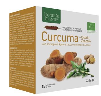 Curcuma Cicoria Zenzero Infuso Digestivo e Depurativo 15 Filtri