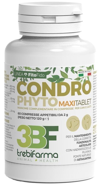 Condrophyto Integratore per il Benessere Articolare 60 Compresse