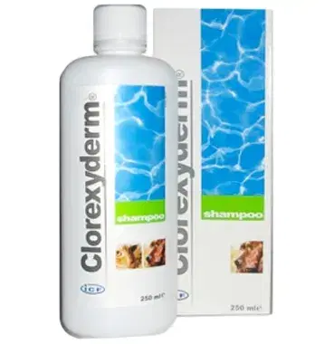ICF Farmaceutici Linea Animali Domestici Clorexyderm 4% Shampoo Cani Gatti 250ml