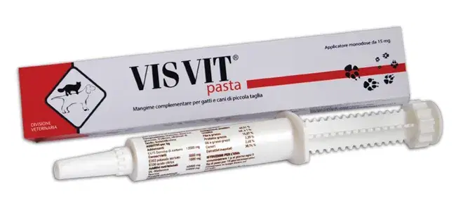 Ddfarma Visvit Pasta Os Siringa 15 G